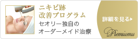 ニキビ跡改善プログラム