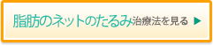 脂肪のネットのたるみ治療法をみる