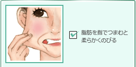 脂肪を指でつまむと柔らかくのびる