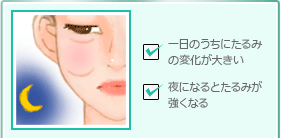 一日のうちにたるみの変化が大きい夜になるとたるみが強くなる