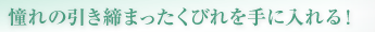 憧れの引き締まったくびれを手に入れる！