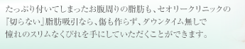 たっぷり付いてしまったお腹周りの脂肪も、セオリークリニックの『切らない』脂肪吸引なら、傷も作らず、ダウンタイム無しで憧れのスリムなくびれを手にしていただくことができます。