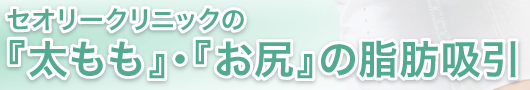 セオリークリニックの『太もも』・『お尻』の脂肪吸引