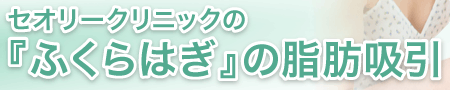 セオリークリニックの『ふくらはぎ』の脂肪吸引