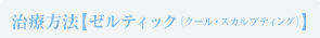 ゼルティック（クール・スカルプティング）