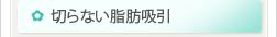 切らない脂肪吸引