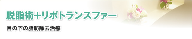 脱脂術+リポトランスファー