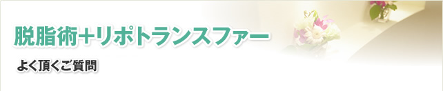 脱脂術+リポトランスファー