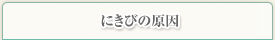 にきびの原因