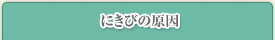 にきびの原因