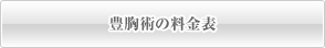 豊胸術の料金表
