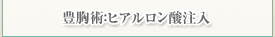 豊胸術：ヒアルロン酸注入