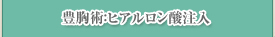 豊胸術：ヒアルロン酸注入