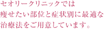 セオリークリニックでは痩せたい部位と症状別に最適な治療法をご用意しています。