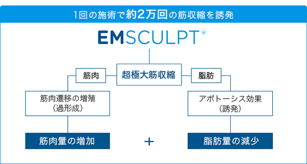 1回の施術で約2万回の筋収縮を誘発