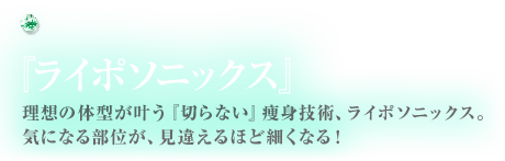 『ライポソニックス』とは？