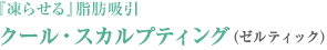 『凍らせる』脂肪吸引 クール・スカルプティング（ゼルティック）