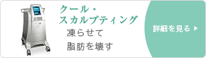 凍らせて脂肪を壊す、クール・スカルプティング