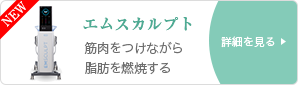 筋肉をつけながら脂肪を燃焼するエムスカルプト
