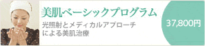 美肌ベーシックプログラム