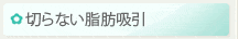 切らない脂肪吸引
