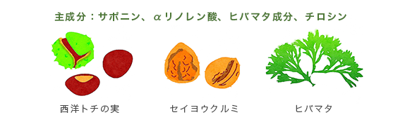 イラスト