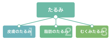 たるみ・皮膚のたるみ・脂肪のたるみ・むくみたるみ
