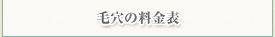 毛穴の料金表