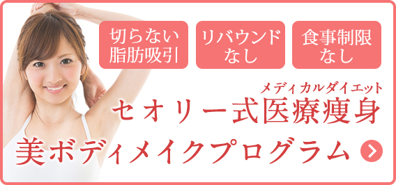 美ボディメイクプログラム