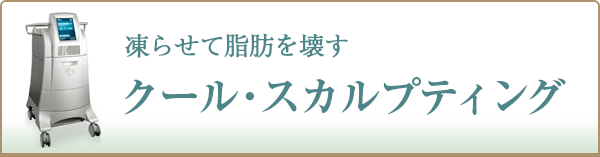 クール・スカルプティング（ゼルティック）