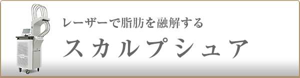 スカルプシュア