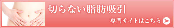 切らない脂肪吸引でわがまま美ボディメイク