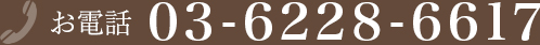 03-6228-6617