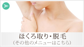 ほくろ取り・脱毛（その他のメニューはこちら）
