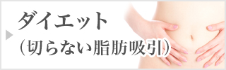 ダイエット（切らない脂肪吸引）